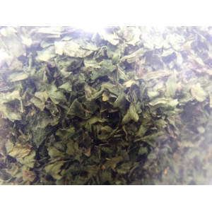 PEREJIL HOJA B. 50G